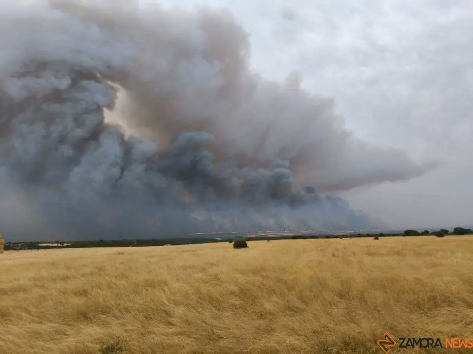 ÚLTIMA HORA I Detenido un hombre como presunto autor del incendio de Puercas
zamoranews.com/articulo/suces…