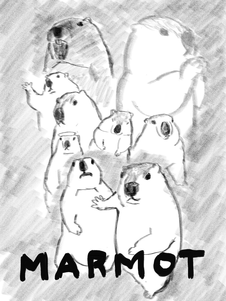 映画のポスターにありそうな構図