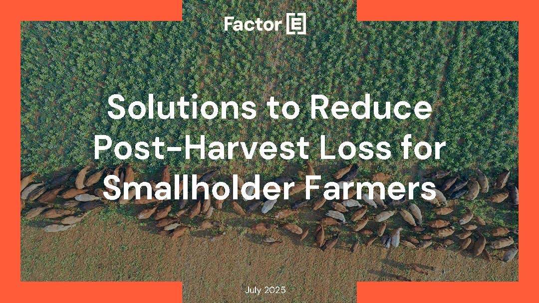 ShellFoundation's tweet image. New research shows that tackling Post-Harvest Loss is a $1 trillion opportunity to empower smallholder farmers. #ShellFoundation, in partnership with @FCDOGovUK, is proud to share new research that addresses one of the most pressing challenges in global agriculture:…