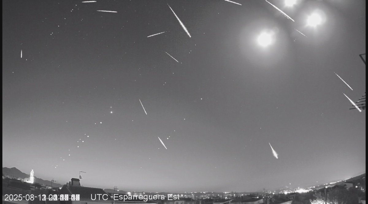 Red Investigación Bólidos y Meteoritos (SPMN) (@redspmn) on Twitter photo #PERSEIDAS DESDE ESPARREGUERA, #BARCELONA por Jordi Gil <a href="/jgil65/">Jordi Gil</a> del 11-13 agosto. Nuestro coordinador, el astrofísico <a href="/Josep_Trigo/">Dr. Josep M Trigo ⭐🌛#PlanetaryDefense #DART HERA</a> "Tras adentrarnos en el enjambre del cometa Swift-Tuttle toca analizar >50 Gb de datos de decenas de estaciones e identificar la ciencia relevante"🎇 #PERSEIDAS DESDE ESPARREGUERA, #BARCELONA por Jordi Gil <a href="/jgil65/">Jordi Gil</a> del 11-13 agosto. Nuestro coordinador, el astrofísico <a href="/Josep_Trigo/">Dr. Josep M Trigo ⭐🌛#PlanetaryDefense #DART HERA</a> "Tras adentrarnos en el enjambre del cometa Swift-Tuttle toca analizar >50 Gb de datos de decenas de estaciones e identificar la ciencia relevante"🎇