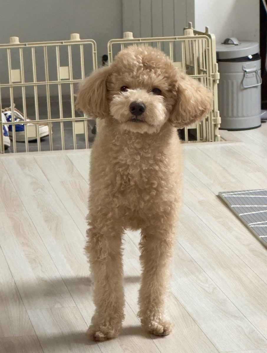 한 번도 고려해본 적이 없는 일이네요….
제 정강이에 먼저 물이 찰 것 같은