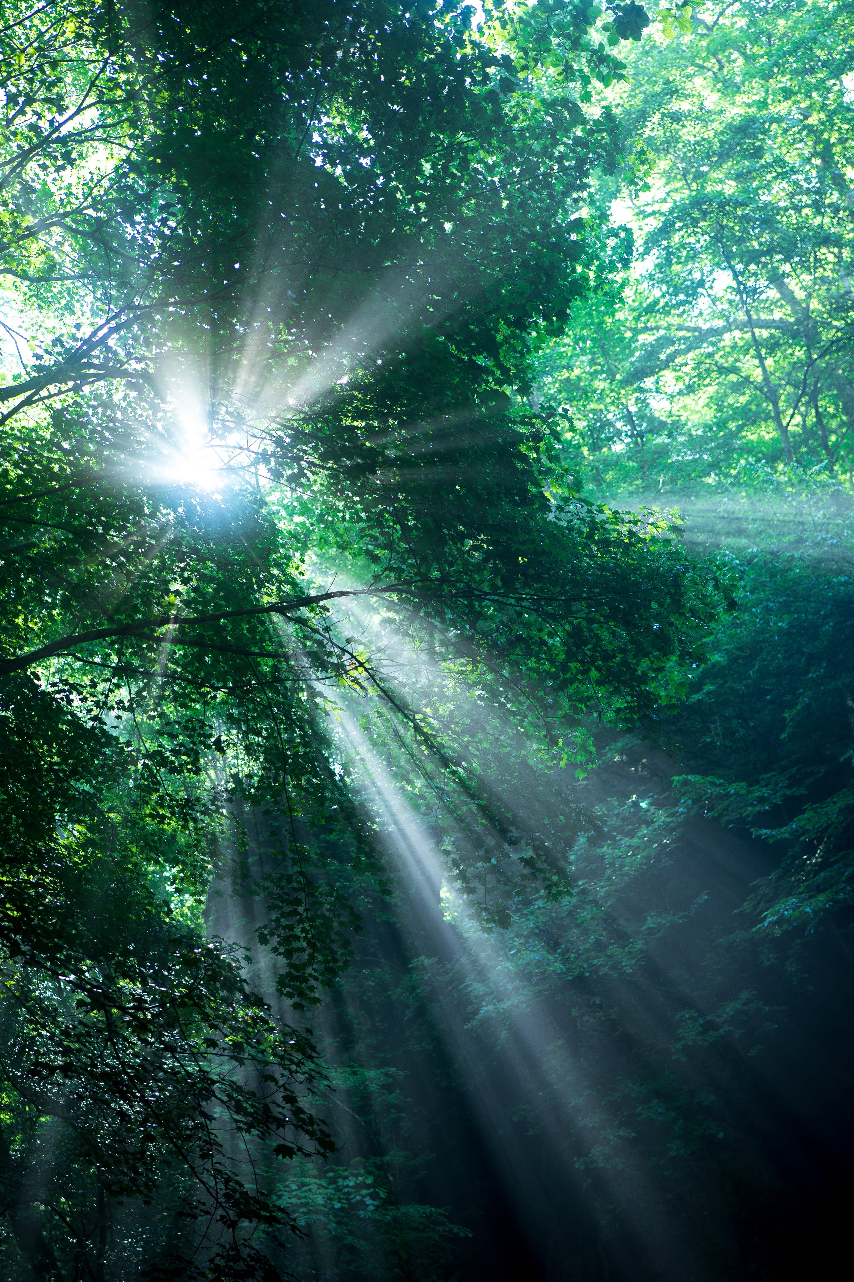 ゆず (@yuzu02_02) / X