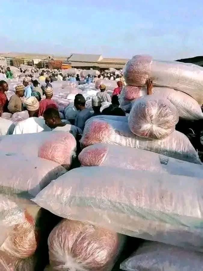 Prices of food produce at the local  Market – TODAY 14/08/2025

Maize:
•With cob – ₦32,000 ➡ ₦38,000
•Without cob – ₦30,000 ➡ ₦34,000

Guinea corn (Sorghum):
•Guinea corn – ₦32,000 ➡ ₦35,000
•White guinea corn – ₦32,000 ➡ ₦35,000

Read more…