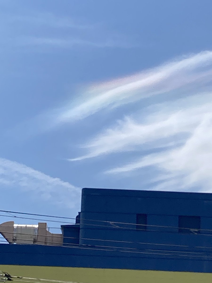 poohyan12's tweet photo. @nst_tbs6 お盆の空に飛行機雲が沢山残ってて
こんなに？と空をよく見たら
何と彩雲が見れました（初めて❣️）
何かいい事あるかも https://t.co/6J1ulK1JXj