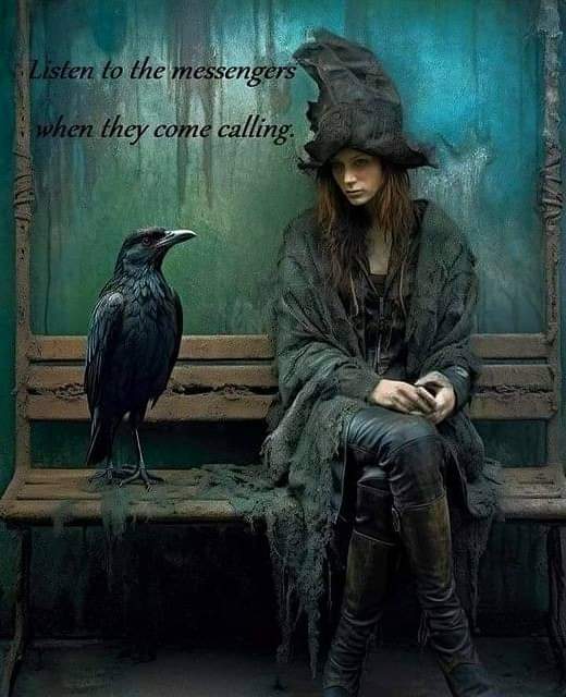 👇🏻😁👇🏻🐦‍⬛
