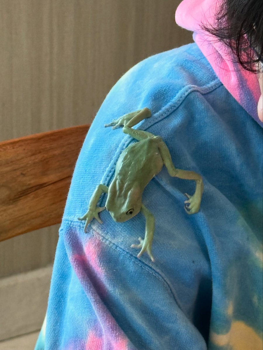 sena8626's tweet photo. Brightくん、カエル🐸飼うの？

Bright Vachirawit
#bbrightvc https://t.co/D5CXdPB3wl