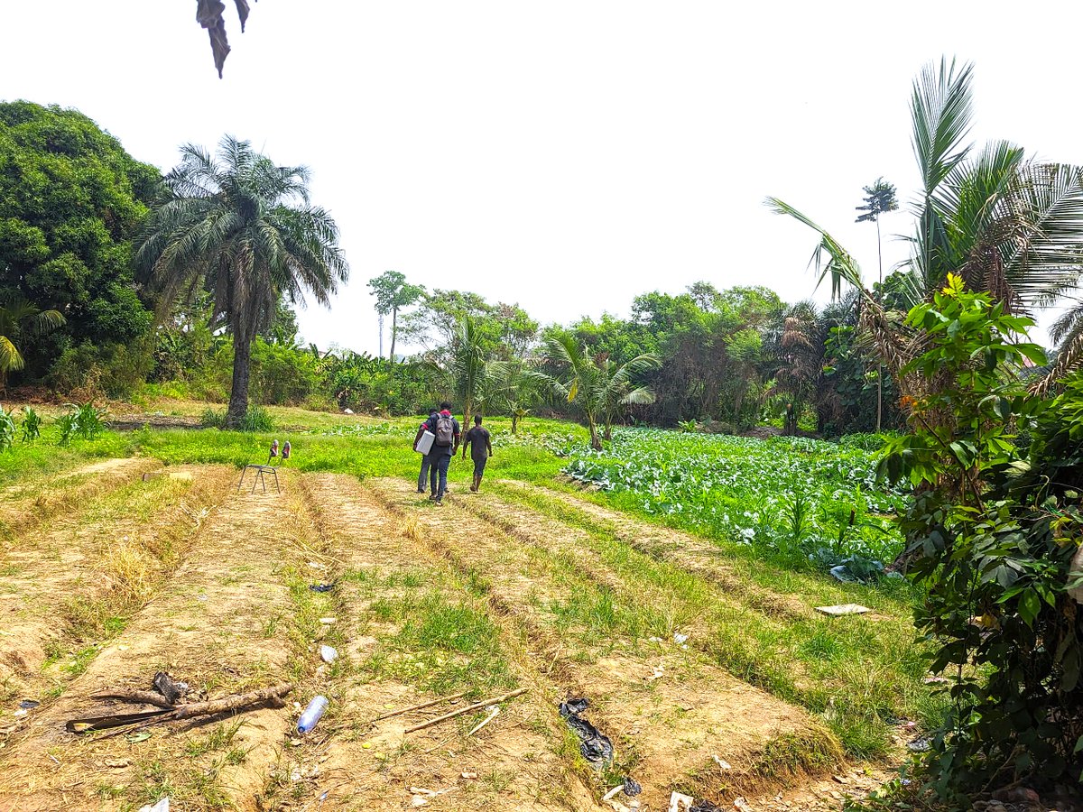 📌AI4SD Innovation Challenge: Students Harness AI to Tackle Fertilizer Misuse in Agriculture

Read more➡️railknustai4sd.org/ai4sd-innovati…