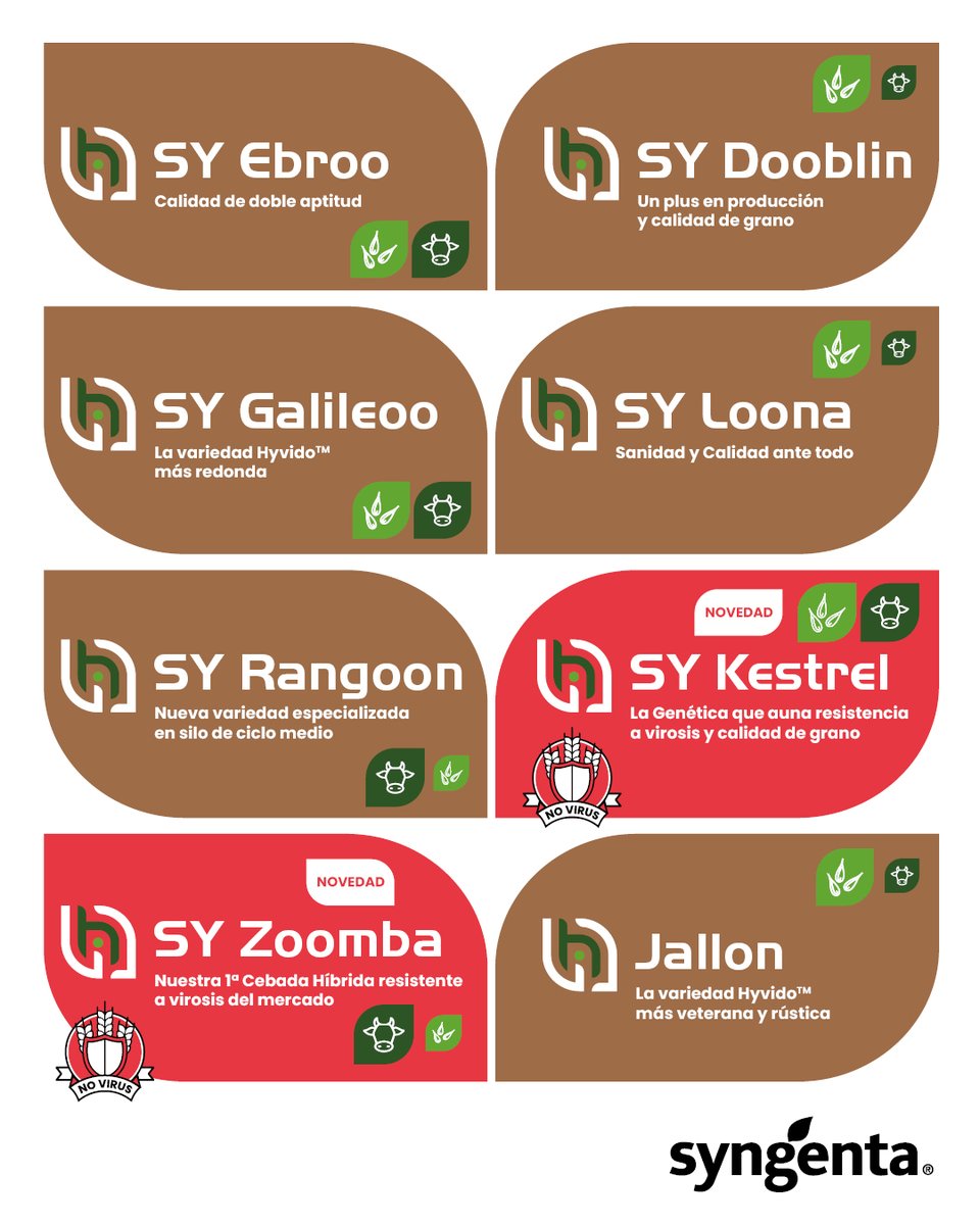 🌾 ¡Nuevo Catálogo Hyvido™ 2025 disponible!
Descubre nuestras cebadas híbridas, ahora con la tecnología Hyvido™ Neo 💪

✅ Más sanidad
✅ Más estabilidad
✅ Resistencia al Virus del Enanismo Amarillo

👉 syngenta.es/sites/g/files/…
#Hyvido #CebadaHíbrida #Cerealistas