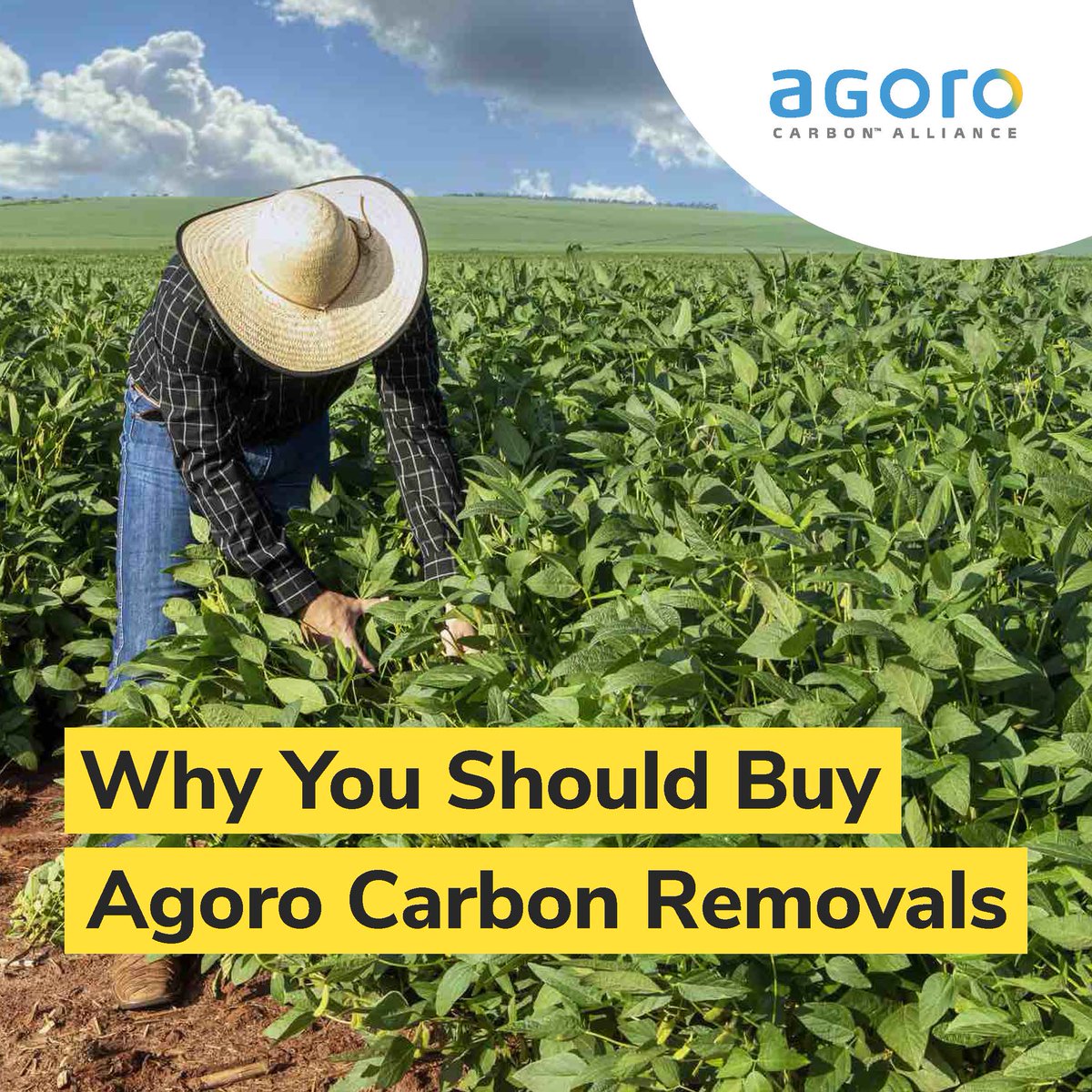 Agoro Carbon Alliance tweet media