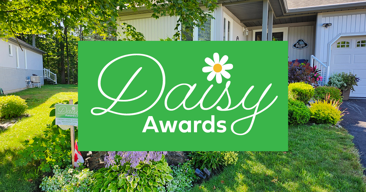 2025 Daisy Awards!  🌸🌲🌷🏆
Congratulations to the winners! Visit the webpage for a map of locations, list of winners &amp; photos!  
gravenhurst.ca/living-here/aw…