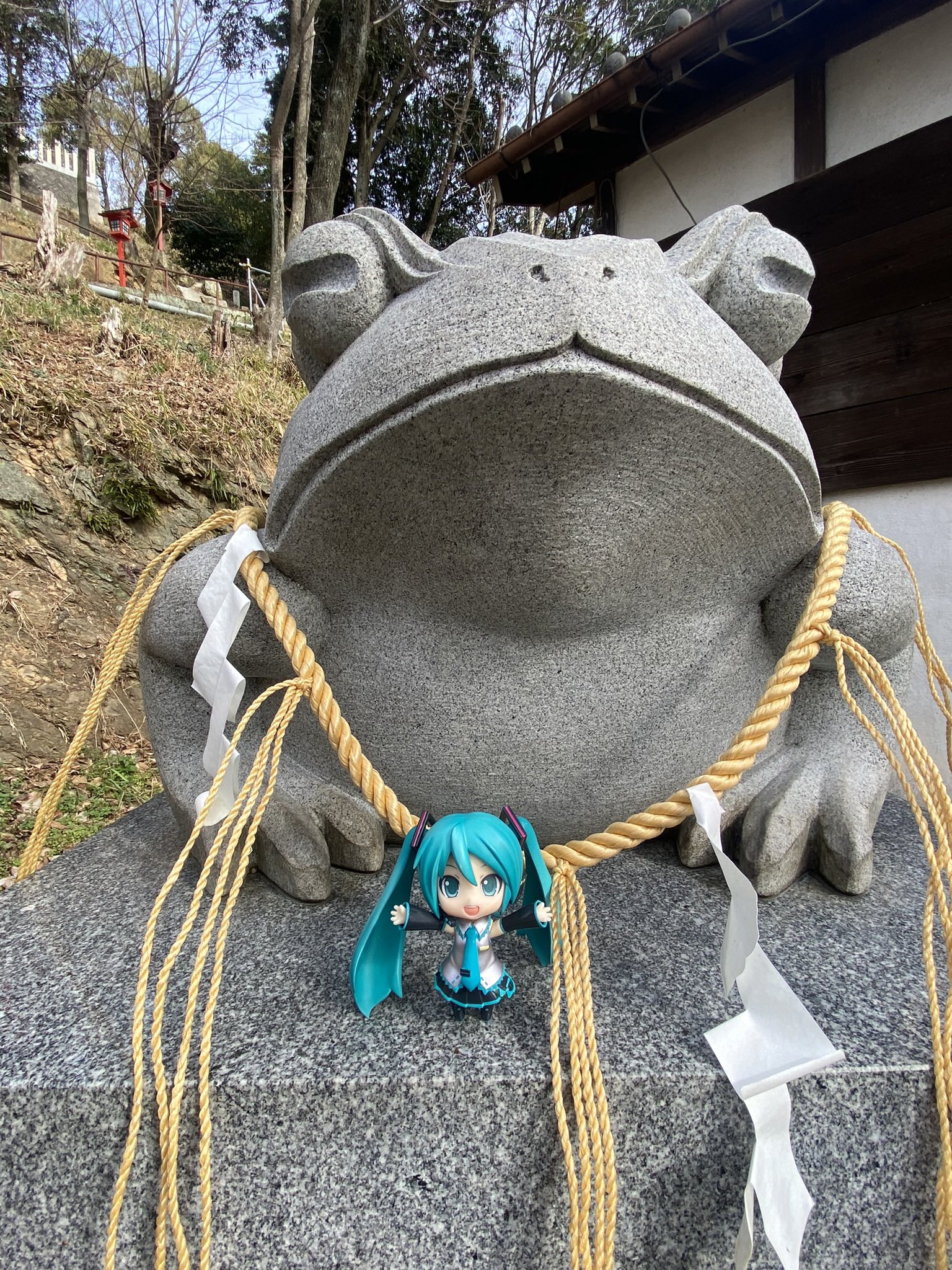 ミク坊です　ご購入はお控え下さい 姫丸 on X: 
