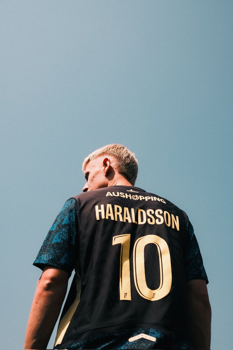 Haraldsson 10