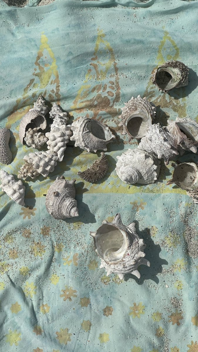 Small_o's tweet image. 이번에 제주도에서 여름밤에 우리 많이 들었다