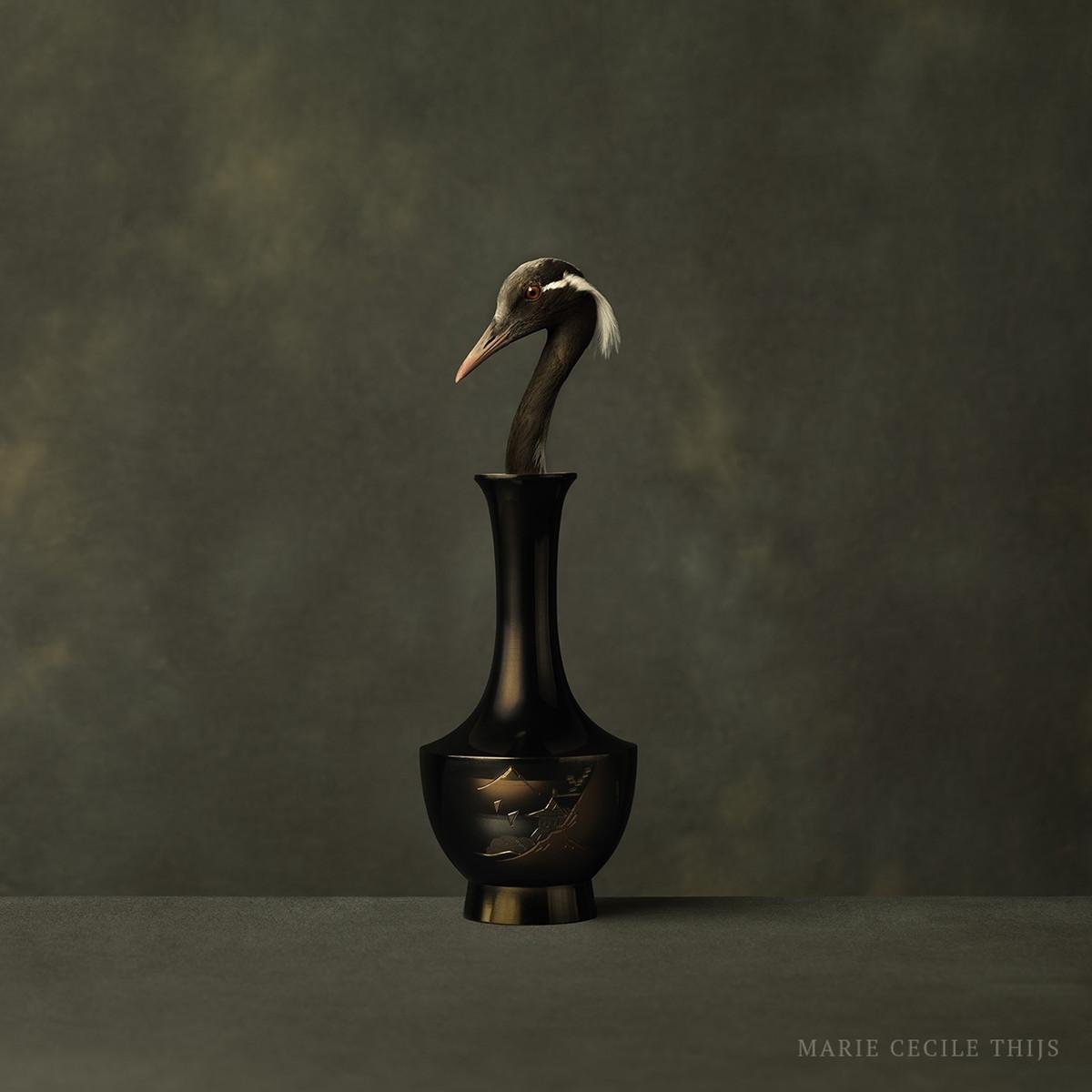 .

Marie Cecile Thijs      Demoiselle &amp; Japanese Vase

.