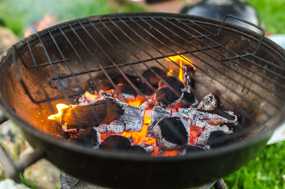 Make sure your lawn is worthy of a great summer BBQ! At Royce Turf you can ensure that your garden is ready for summer entertaining - turf is available for collection or delivery. 🌱

 #SummerBBQ #TurfManagement #Landscaping #GardenPrep #TurfDelivery #royceturf