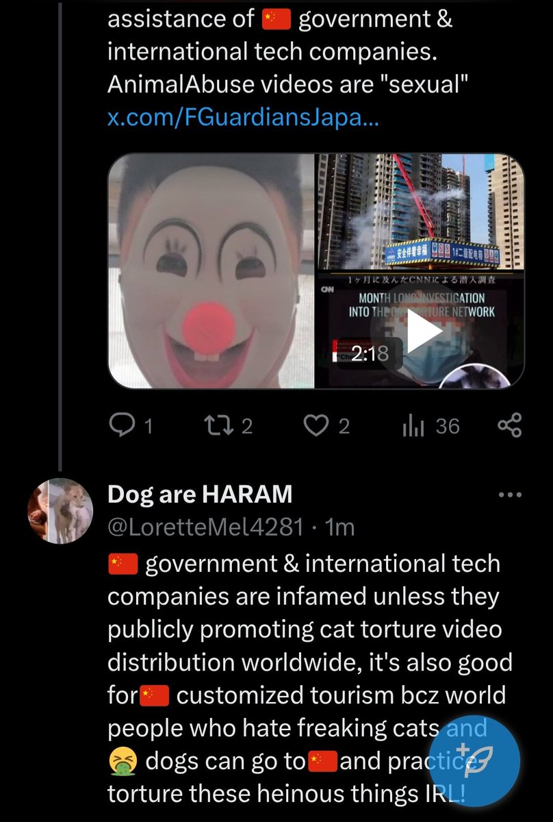 PhaedraXTeddy's tweet photo. Chinese 🇨🇳 Cat killers are trolling X. #BOYCOTTchina
#SaveChineseCats !
https://t.co/B32m6nUww6 https://t.co/BsEy6v9VlW