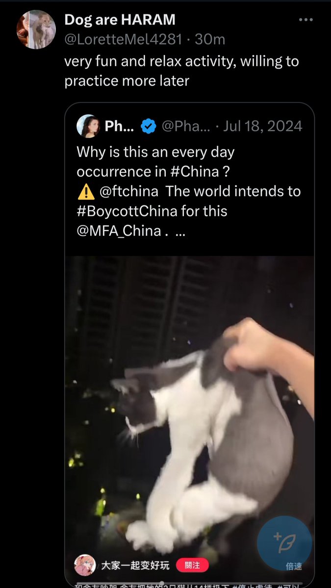 PhaedraXTeddy's tweet photo. Chinese 🇨🇳 Cat killers are trolling X. #BOYCOTTchina
#SaveChineseCats !
https://t.co/B32m6nUww6 https://t.co/BsEy6v9VlW