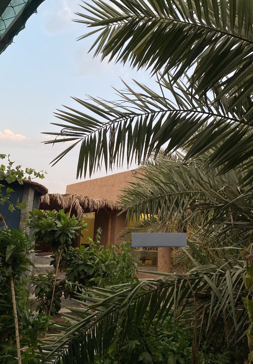 taleen🇸🇦 tweet media