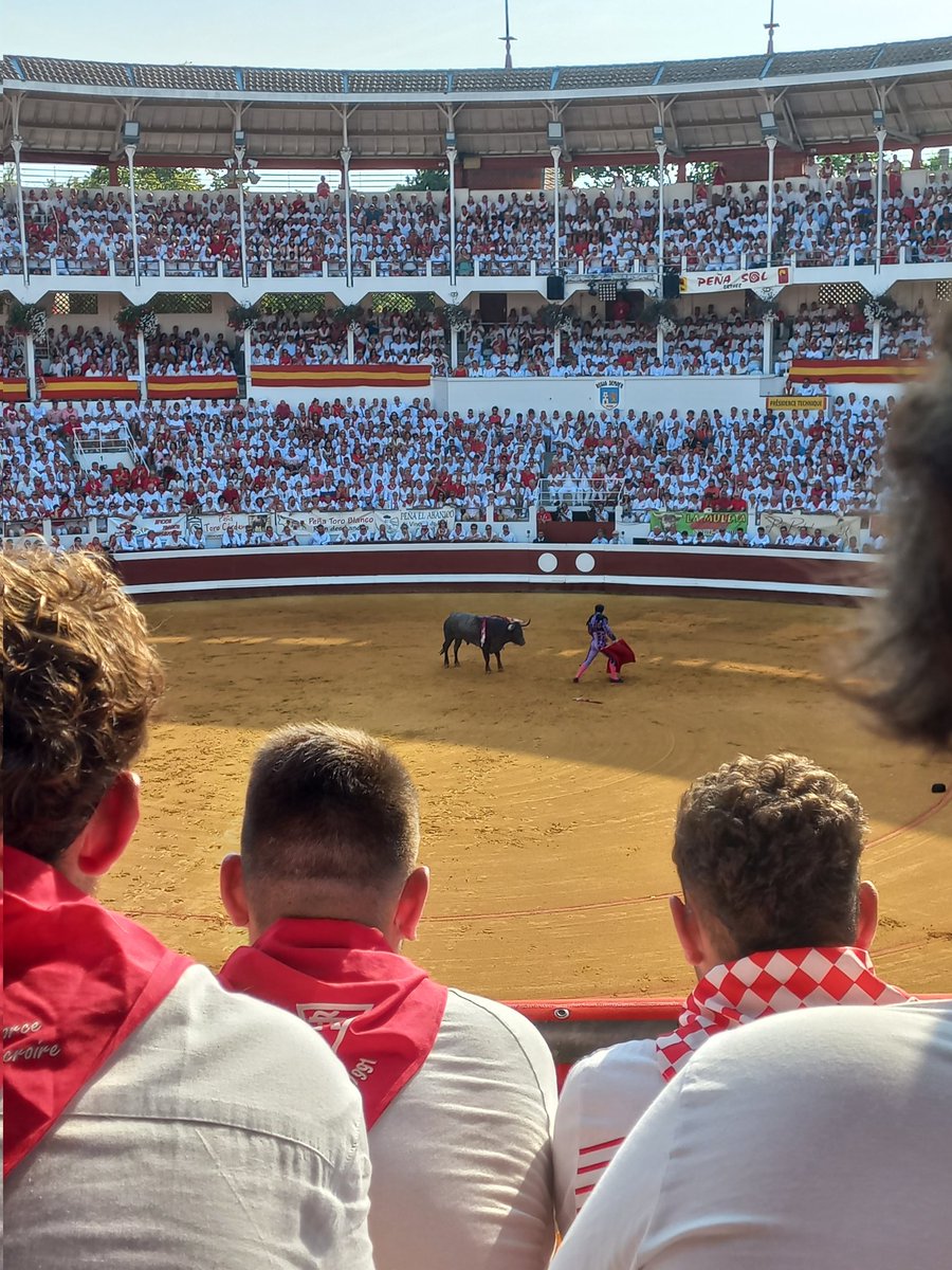 Alexis Gonzalez tweet media