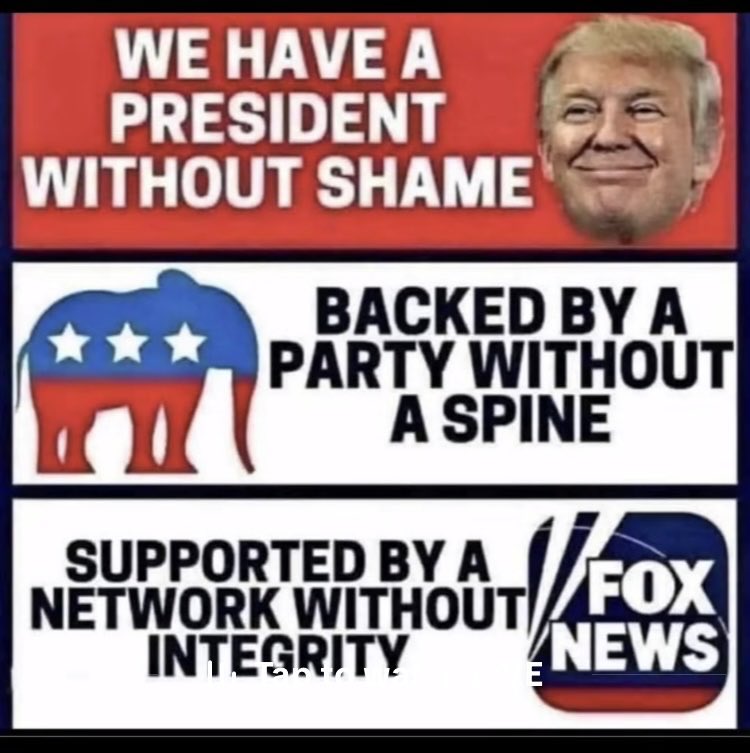 Cookie Colón 🇺🇸🇵🇷❤️ 👠🦋 tweet media