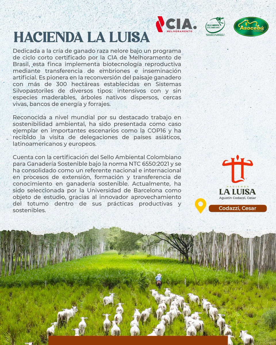📢 XIX Gira Técnica Nacional Ganadera Cesar - Magdalena 📢

Este año la gira ganadera #1 de Colombia llegará a estos departamentos y, además de visitar 7 producciones reconocidas a nivel nacional e internacional, traerá dos tremendas celebraciones:

🤠 Día del Ganadero Colombiano