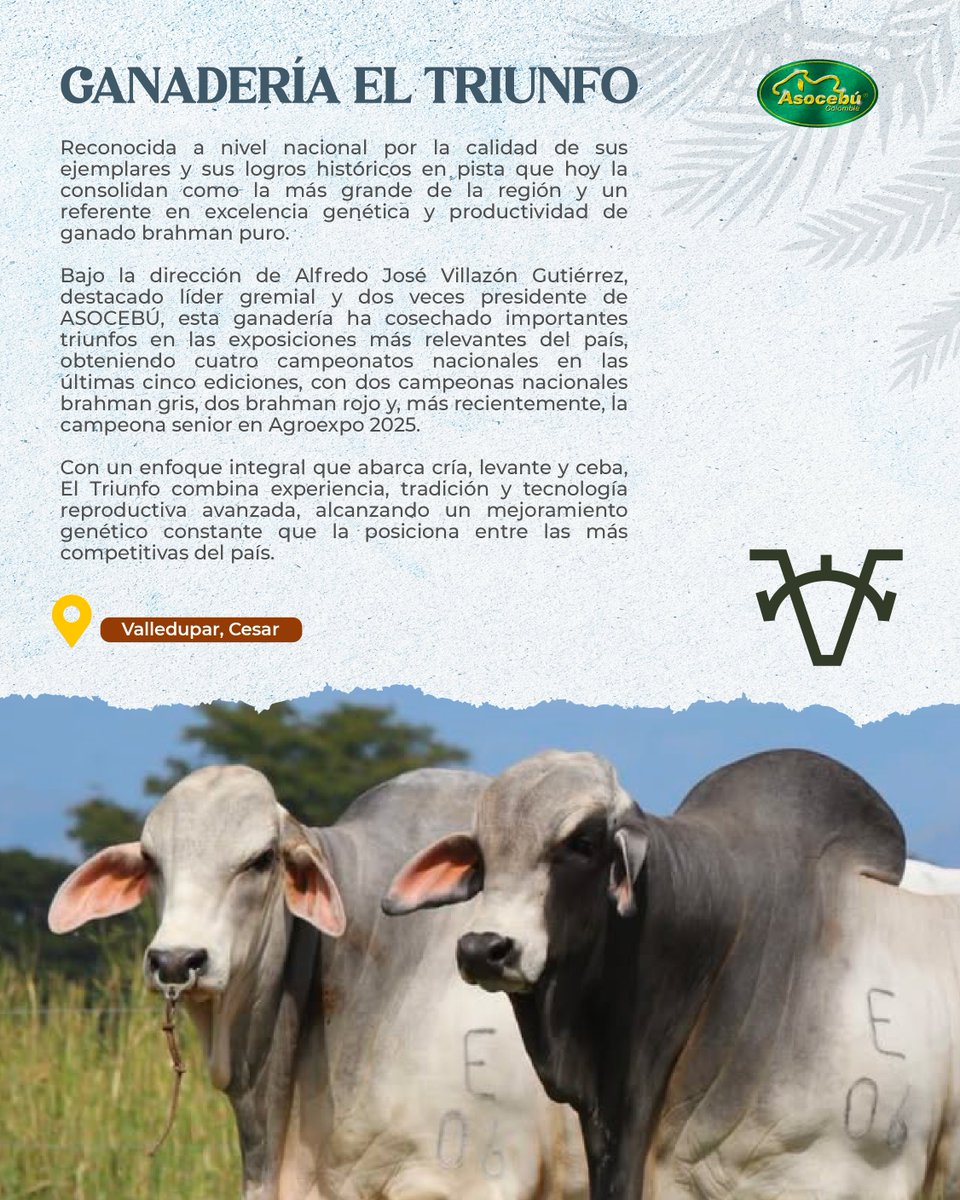 📢 XIX Gira Técnica Nacional Ganadera Cesar - Magdalena 📢

Este año la gira ganadera #1 de Colombia llegará a estos departamentos y, además de visitar 7 producciones reconocidas a nivel nacional e internacional, traerá dos tremendas celebraciones:

🤠 Día del Ganadero Colombiano