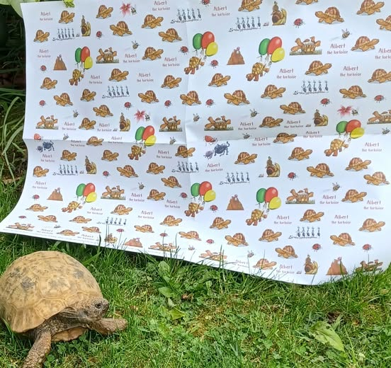 AlbertTortoise's tweet photo. Little reminder we now do #ALBERTthetortoise #WrappingPaper.. based on #ALBERT #picturebook #illustrations. Approved by real Albert himself. See more at https://t.co/f64iOGQutW
#wrapstar #tortoise #tortoisedesign #bookseries #giftideas #gifting #garden #wrapping https://t.co/DFd4IMgb1D