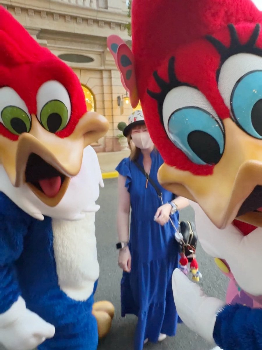 ウッディ usj LOVEHASNOLIMIT　XLサイズ USJユニバーサル ウッディ usj LOVEHASNOLIMIT XLサイズ USJユニバーサル COIN