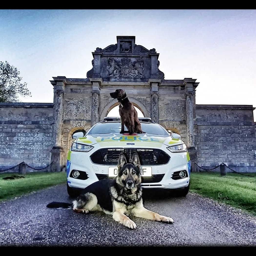 BCH Police Dogs tweet media