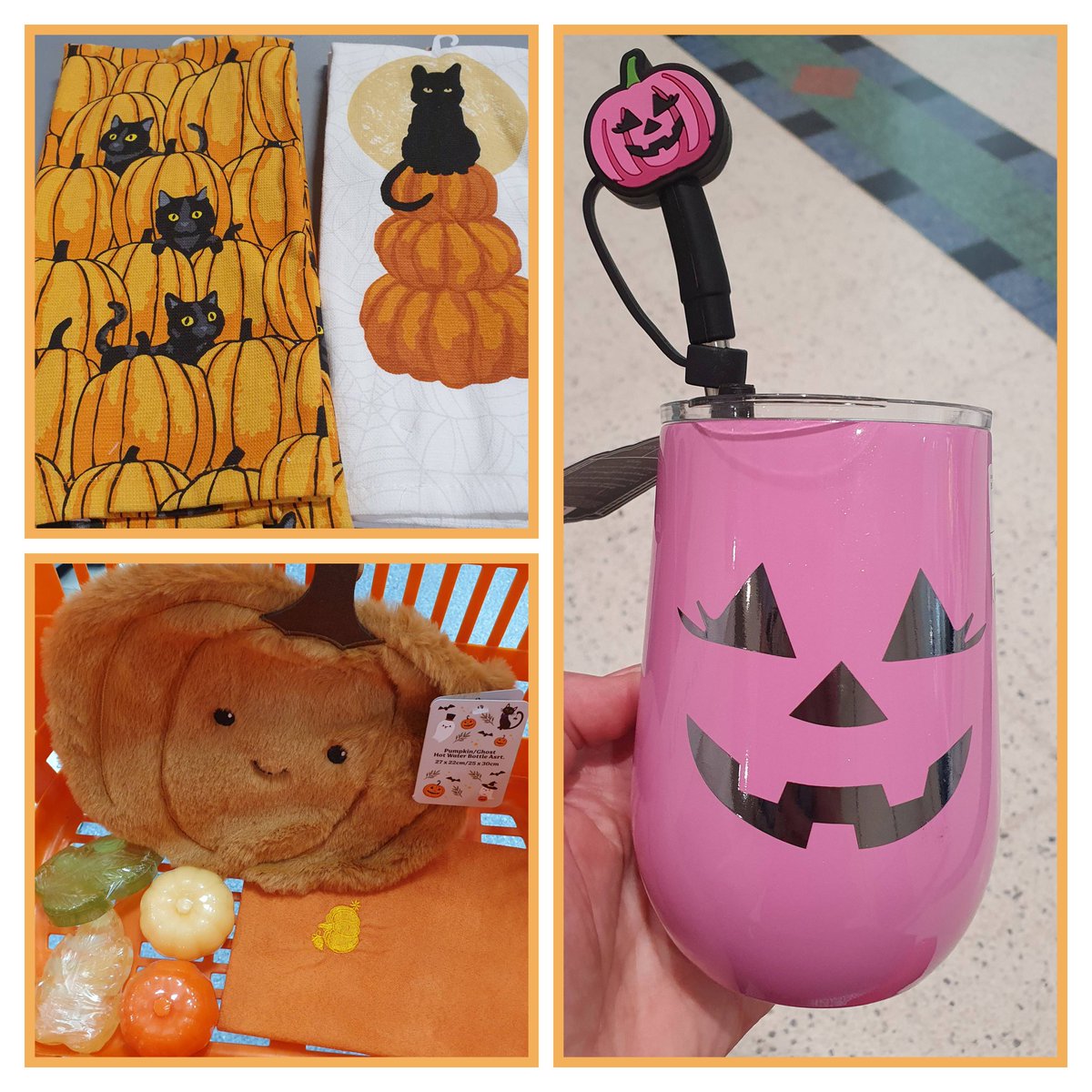 It is that time of year 🧡💛💚🤎🖤🎃🐈‍⬛🍂