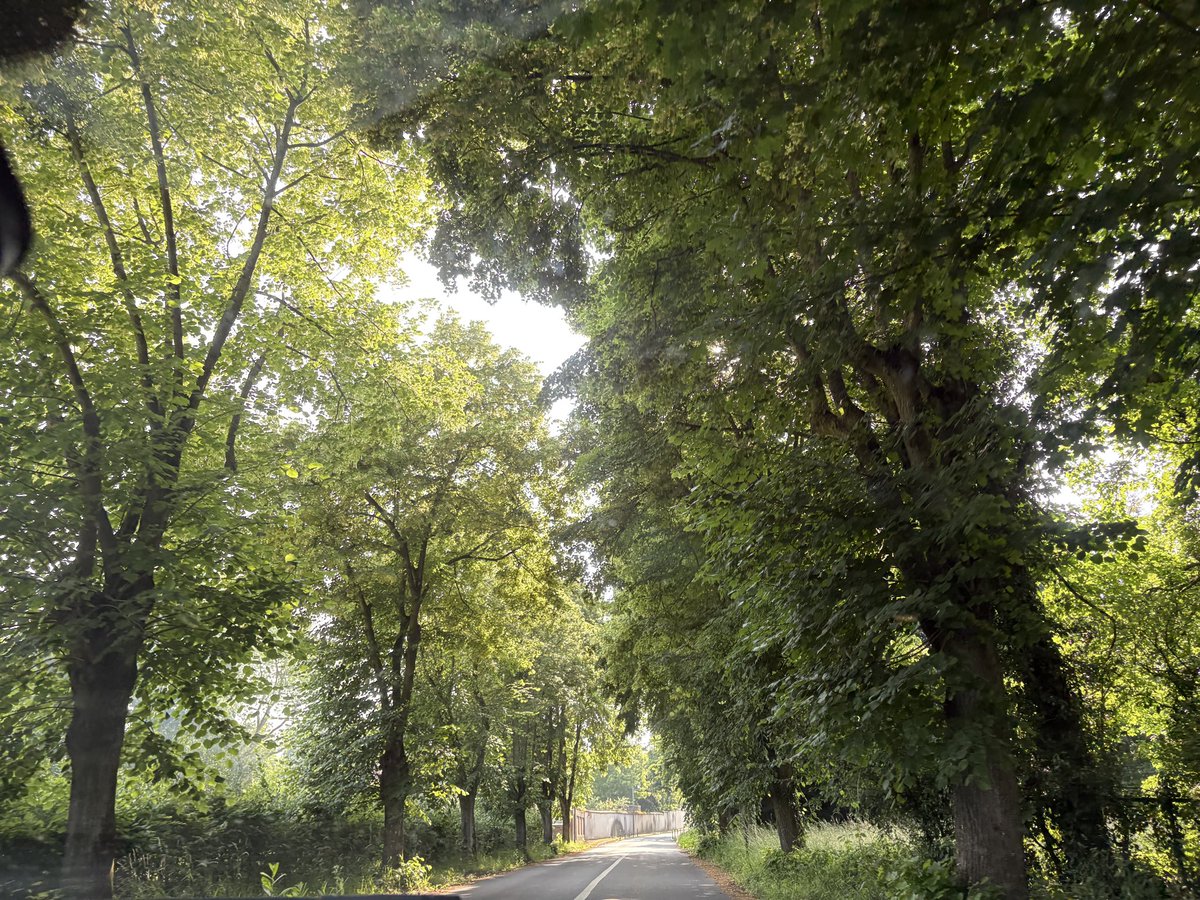 I love car rides I love doing nothing just listening to music and enjoying the pretty scenery in front of me