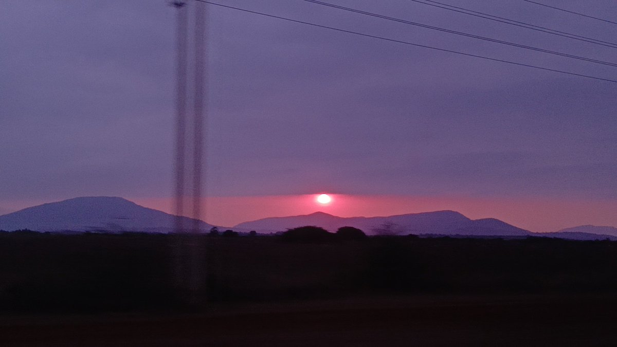 Meryl Paige Diva tweet media