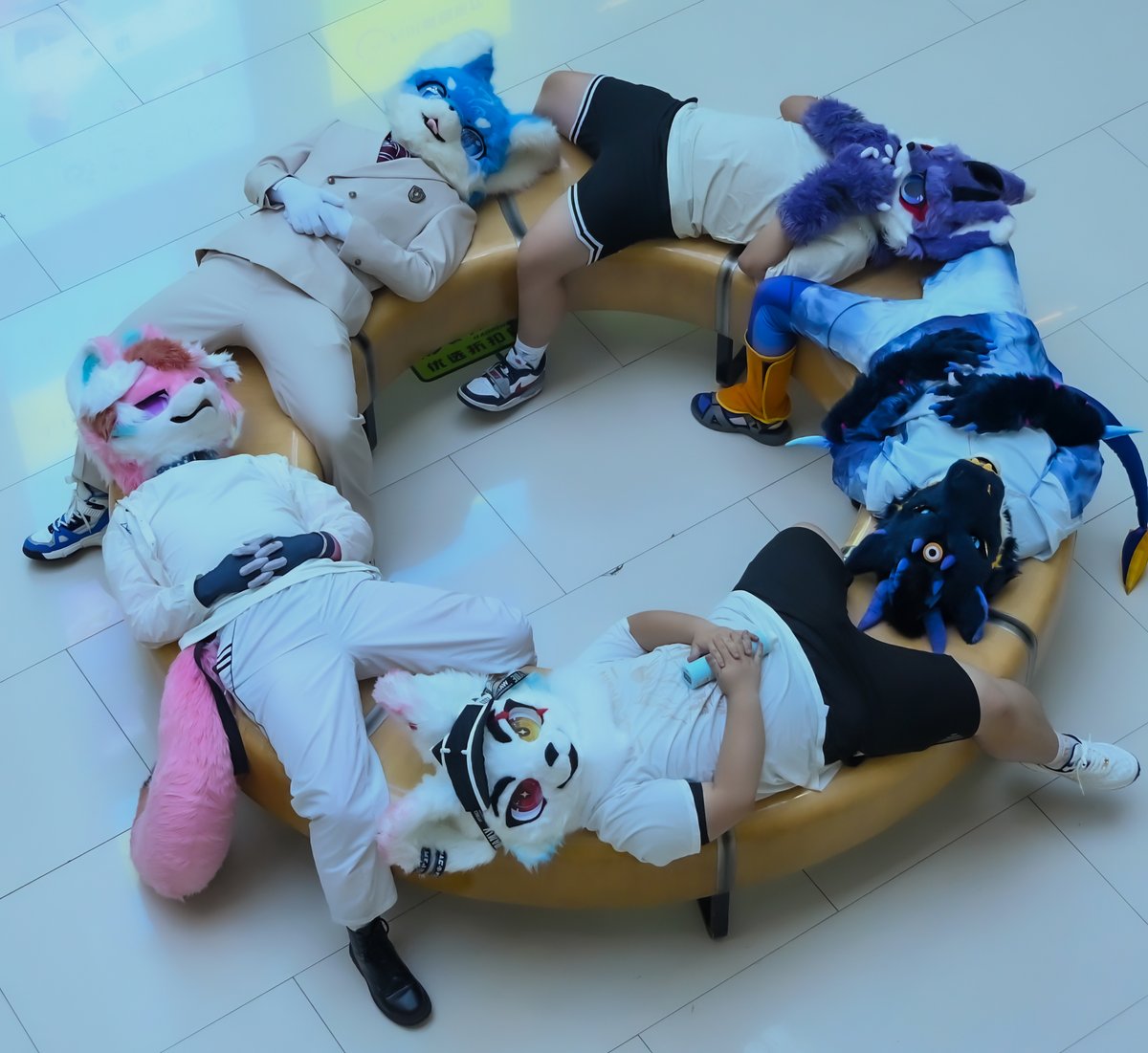 #FursuitsFriday
"兽圈" 
ME  八嘎小成  阿狼  阿萨姆  寒檀 
📷 ：韩玉宇