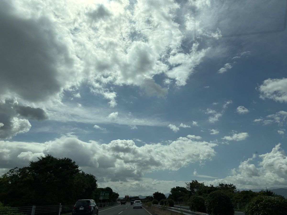 吉田彩乃🀄 tweet media