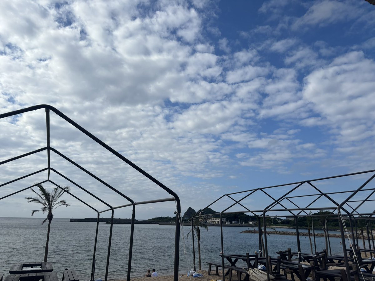 吉田彩乃🀄 tweet media