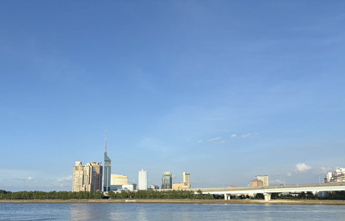 吉田彩乃🀄 tweet media