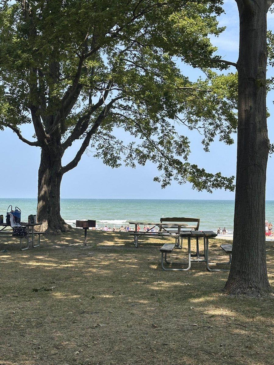 beach field trip with the class today :)