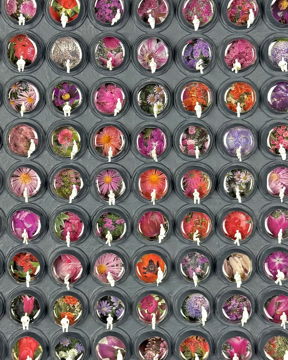 Zooming into the wonderful, ephemeral works of Mat Kemp. Come explore these intriguing works that take old, discarded items that have been transformed into colourful, inventive installations, changing what we would have interpreted as throwaway items into desirable works of art.