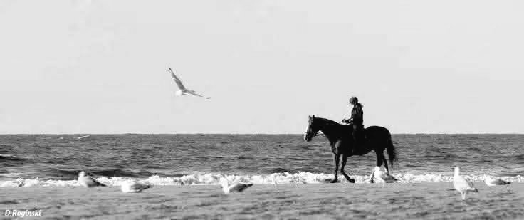 خاموش مان tweet media