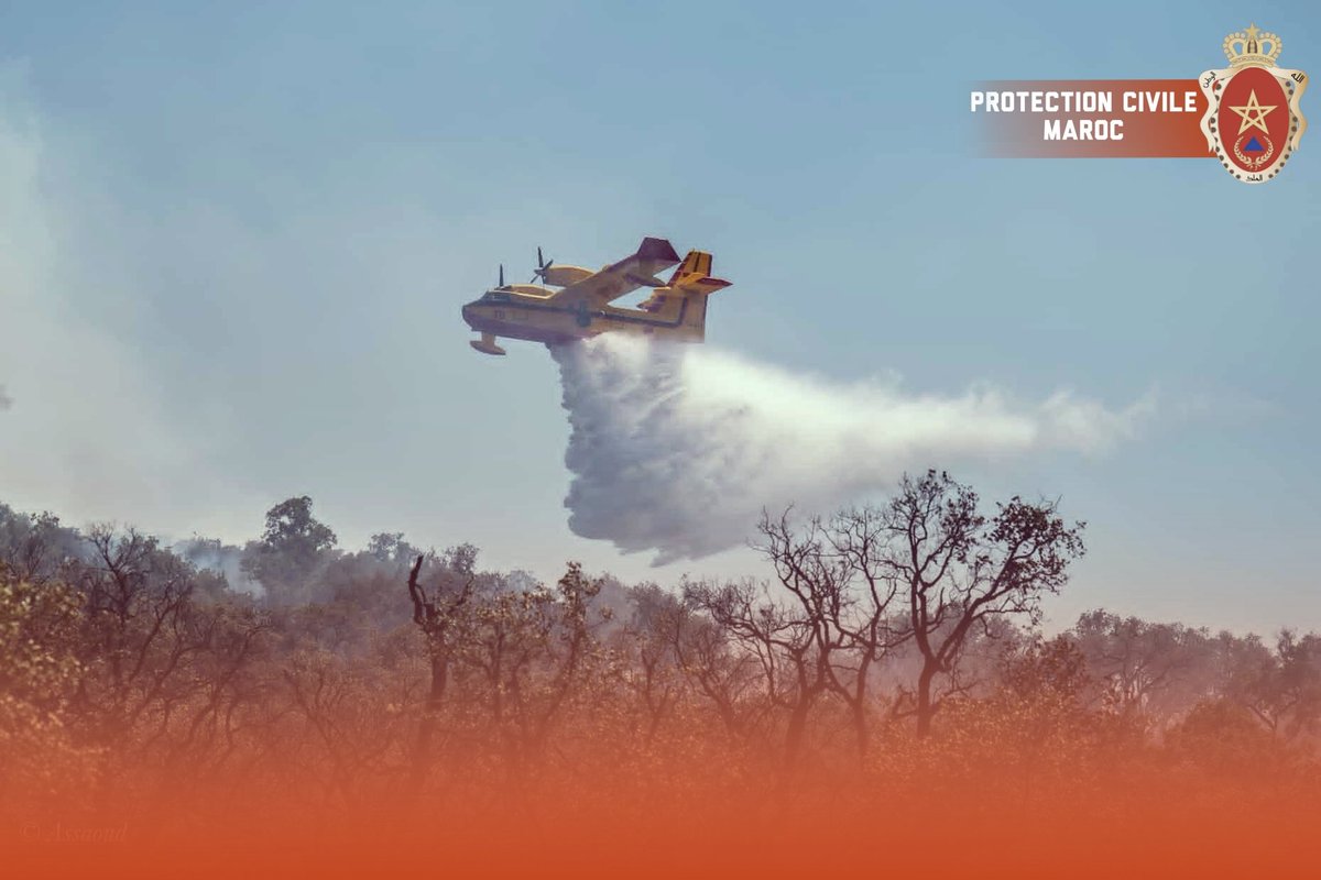 صور من قلب الحريق – شفشاون
توثق عدسات لحظات مؤثرة من داخل حريق شفشاون، حيث تظهر صور رجال الوقاية المدنية وهم يواجهون النيران بكل شجاعة وتفانٍ.  
وسط الدخان الكثيف ووعورة التضاريس، يواصل هؤلاء الأبطال جهودهم من أجل حماية الأرواح والطبيعة.