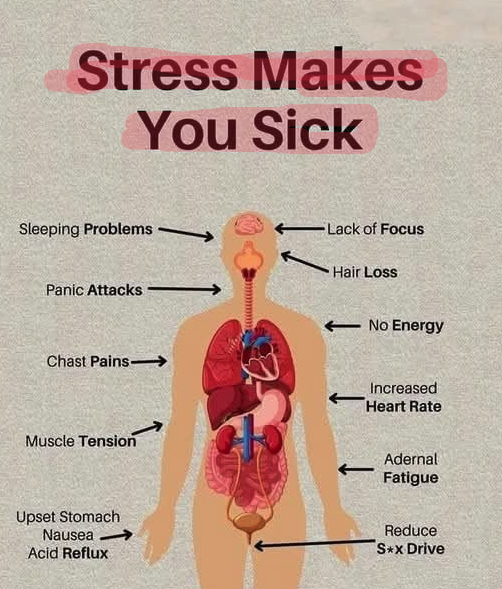 Manage the stress :👇