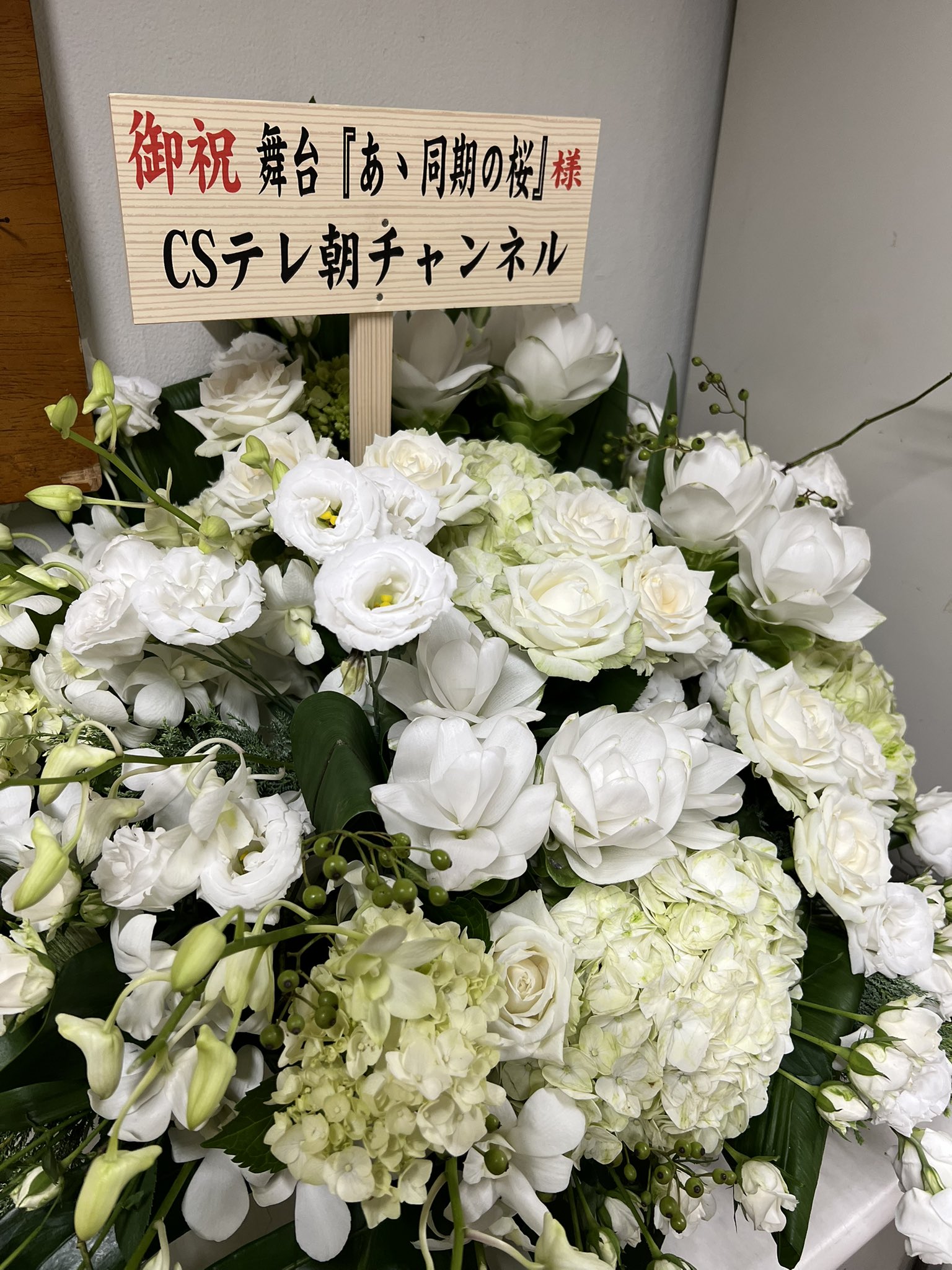 錦織一清　坊ちゃん劇場　四国瀬戸内三部作　DVDBOX 錦織一清 坊ちゃん劇場 四国瀬戸内三部作 DVDBOX