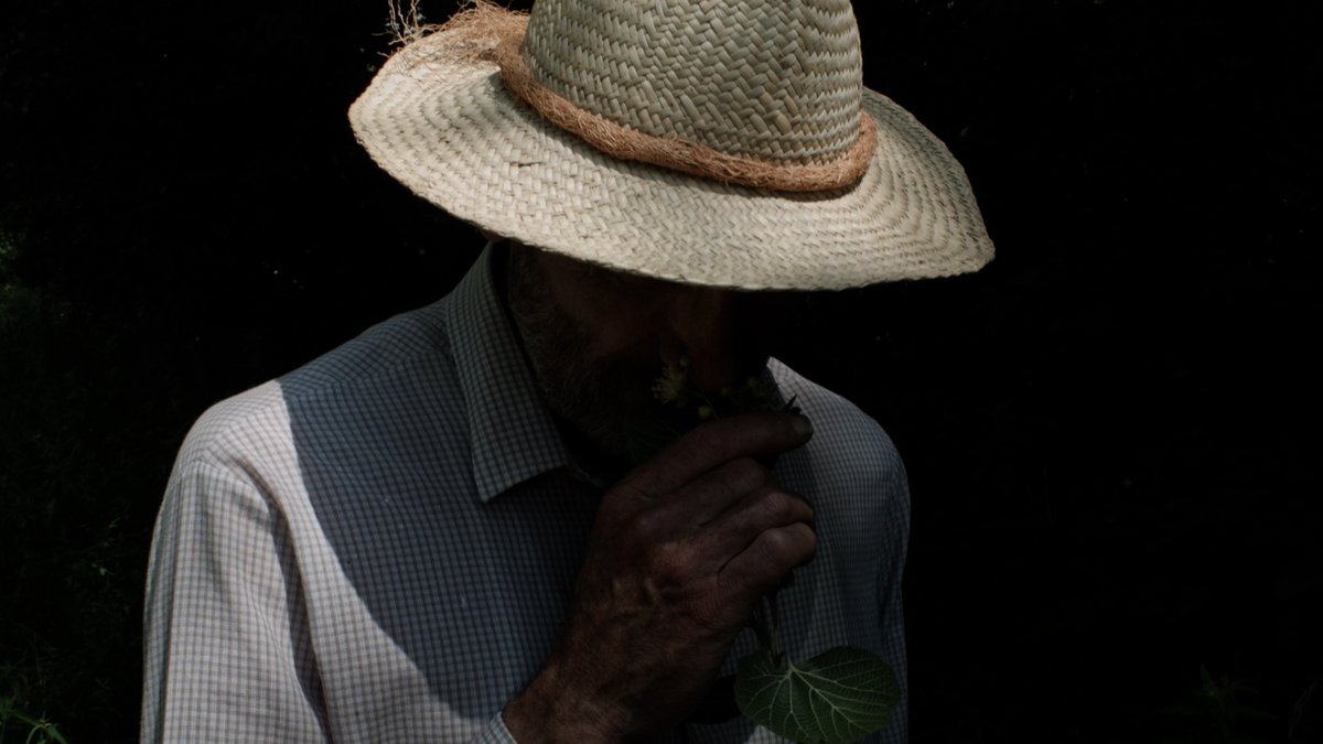 Vancouver! 7 Walks with Mark Brown plays 3 times at the Cinematheque beginning tomorrow.