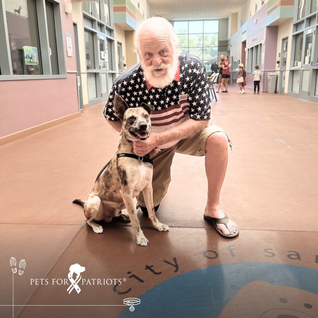 PetsforPatriots's tweet photo. It's nothing but smiles for Michael, Army veteran, and his new battle buddy Roux (previously Bagger)!

This patriotic pair were adopted through our partners @AdoptAPetSJ in California, which waives adoption fees for veterans and Gold Star spouses we serve.

Can we get some love for these fellas? ❤️