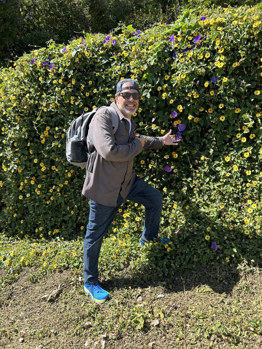 David Lodge tweet media