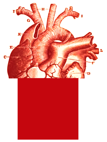 Zhuchengtyrannus (@dinosauriaetc) on Twitter photo 