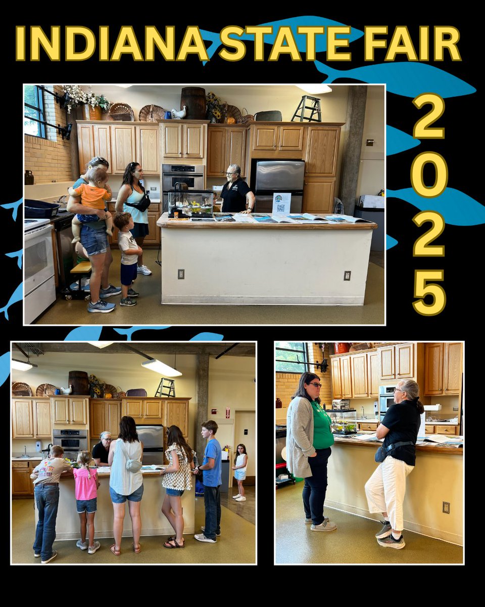 When Blue is Green Project tweet media