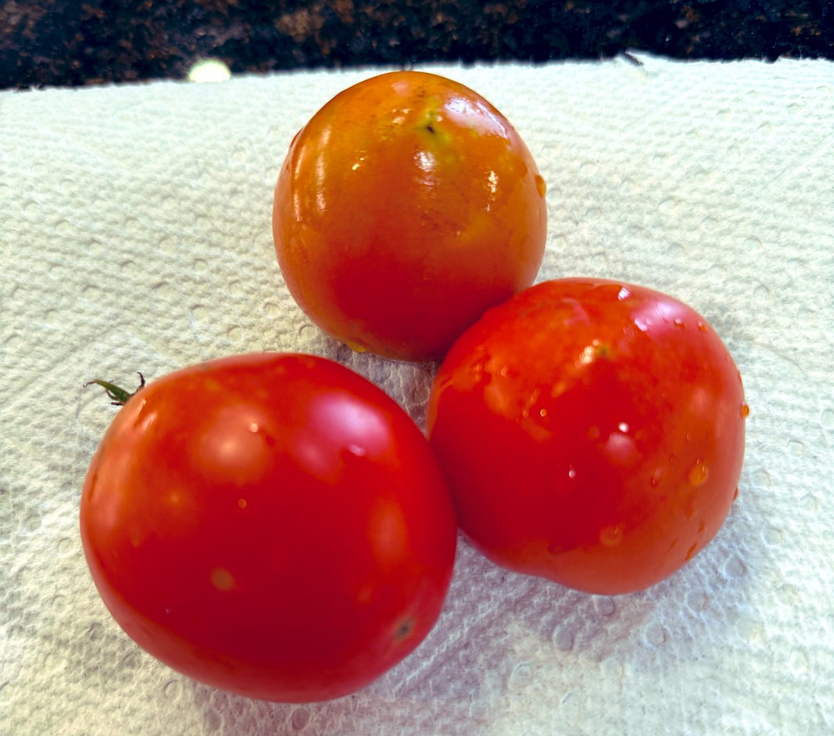 Summer garden is done for the year. Enjoying the last tomatoes.