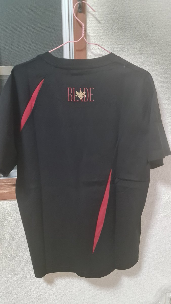 morozsofichan's tweet image. そのTシャツを買って嬉しい
刃が大好きﾂ

#刃 #崩壊スターレイ