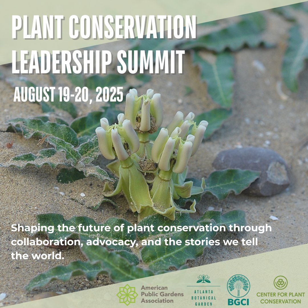 Center for Plant Conservation (@cpcplants) on Twitter photo Uniting for Impact: National Leadership Summit on Plant Conservation to Convene at
Atlanta Botanical Garden, August 19–21. Co-hosted by CPC, <a href="/bgci/">Botanic Gardens Conservation International</a>, @publicgardens, & <a href="/AtlBotanical/">Atlanta Botanical Garden</a>.
For more information, visit: sites.google.com/atlantabg.org/…
#CenterforPlantConservation #SavePlants Uniting for Impact: National Leadership Summit on Plant Conservation to Convene at
Atlanta Botanical Garden, August 19–21. Co-hosted by CPC, <a href="/bgci/">Botanic Gardens Conservation International</a>, @publicgardens, & <a href="/AtlBotanical/">Atlanta Botanical Garden</a>.
For more information, visit: sites.google.com/atlantabg.org/…
#CenterforPlantConservation #SavePlants